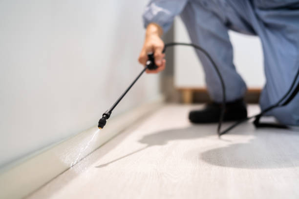 Licensed Termite Control service in South Hill, VA - Nex Pest Control