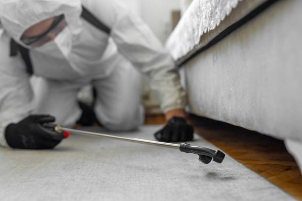 Professional Termite Control technician working in South Hill, VA