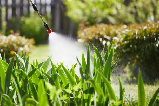 24/7 Emergency Termite Control experts in South Hill, VA