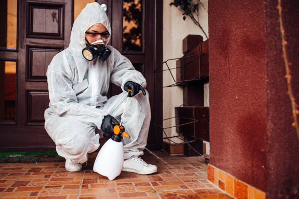 Reliable Termite Control contractor in South Hill, VA by Nex Pest Control
