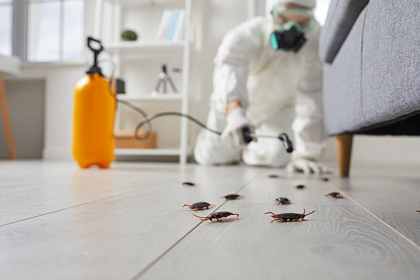 Trusted Rodent Control service in South Hill, VA - Nex Pest Control