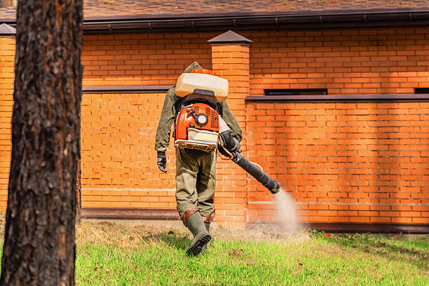 Trusted Cockroach Control service in South Hill, VA - Nex Pest Control